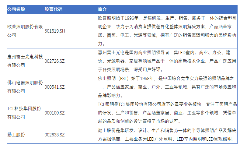 亚盈体育APP中国户外照明灯具市场蓬勃发展点亮城市新篇章(图3)